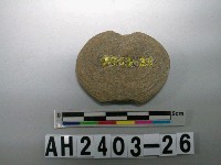 藏品(砝碼型石網墜)的圖片